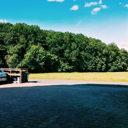 76 Qm Whg Im Eg Haus-Wohlfuehloase Vor Der Haustuer Apartment Gladenbach ภายนอก รูปภาพ